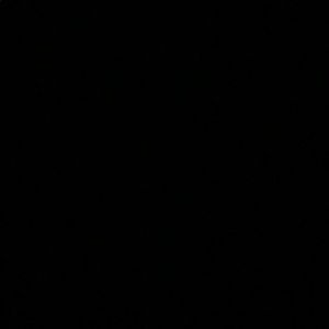 Meet your Posher, Whitney